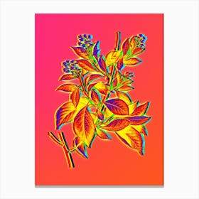 Neon American Bittersweet Botanical in Hot Pink and Electric Blue n.0241 Canvas Print