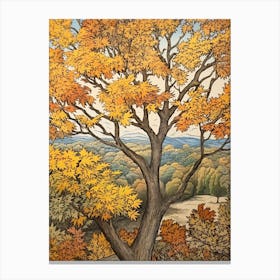White Ash 2 Vintage Autumn Tree Print  Canvas Print
