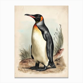 Adlie Penguin Robben Island Vintage Botanical Painting 2 Canvas Print