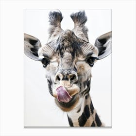 Giraffe 27 Canvas Print