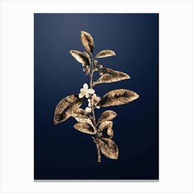 Gold Botanical Tea Tree on Midnight Navy n.1105 Canvas Print