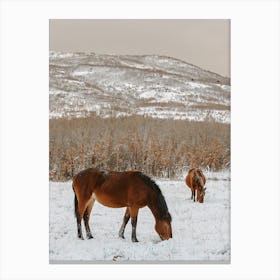 Horses In Snowy Field Canvas Print