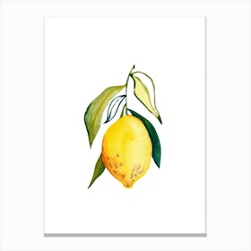 Lemon 1 Canvas Print
