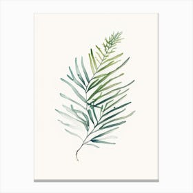 Yew Leaf Minimalist Watercolour 1 Canvas Print