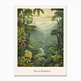 Borneo Rainforest Canvas Print