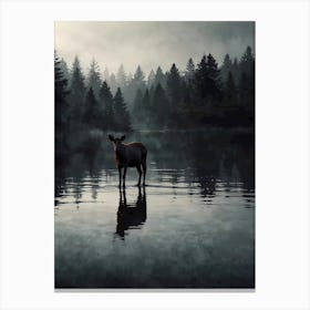 Elk Standing In Water Canvas Print