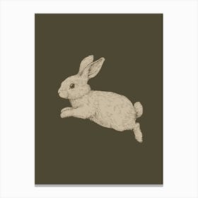 Vintage Rabbit Toile