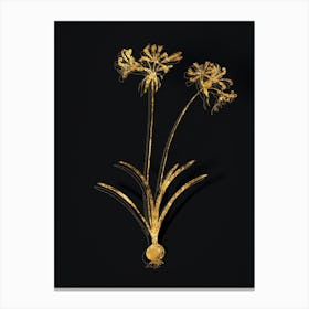 Vintage Nerine Botanical in Gold on Black Canvas Print