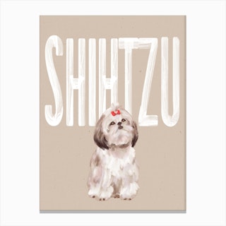Shihtzu Dog Canvas Print