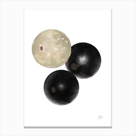 jabuticaba Canvas Print