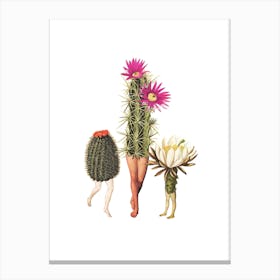 Cactus Trio Canvas Print
