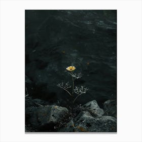 Single Flower In Water 14 Canvas Print