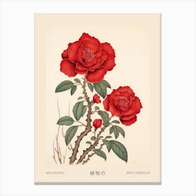 Higanatsu Red Camellia 1 Vintage Japanese Botanical Poster Canvas Print