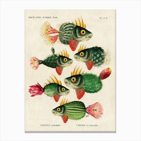 Cactus Fish Canvas Print