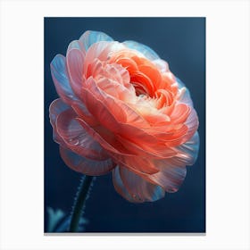 Anemone Canvas Print