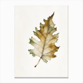 Oak Leaf Minimalist Watercolour Canvas Print