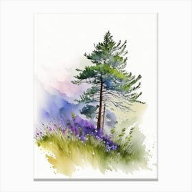 Running Pine Wildflower Watercolour 1 Canvas Print