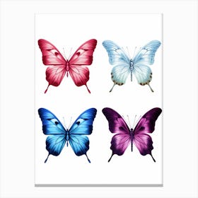 Butterfly Set 4 Canvas Print