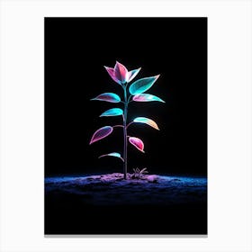 Neon Plant In The Dark 4 Canvas Print