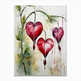 Bleeding Heart Flowers 4. Canvas Print