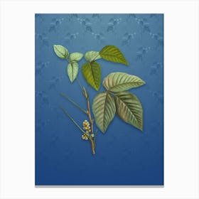 Vintage Eastern Poison Ivy Botanical on Bahama Blue Pattern n.0322 Canvas Print