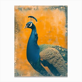 Blue & Orange Vintage Peacock Portrait Canvas Print