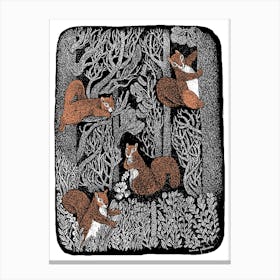 Squirrels In The Woods Canvas Print