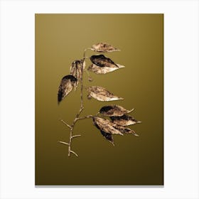 Gold Botanical European Nettle Tree on Dune Yellow Canvas Print