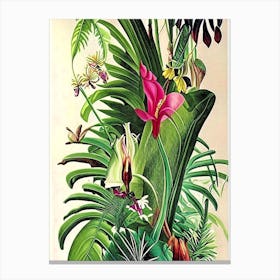 Jungle Botanicals 2 Botanical Canvas Print