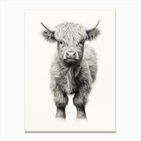 Black & White Illustration Of Young Highland Cow Canvas Print