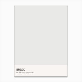 Brisk Colour Block Poster Canvas Print