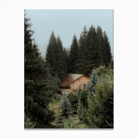 The Cabin In The Forest Canvas Print