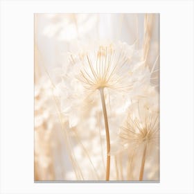 Boho Dried Flowers Agapanthus 3 Canvas Print