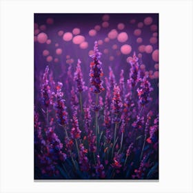 Lavender Field Canvas Print