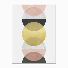 Circles with golden textures 1 Canvas Print