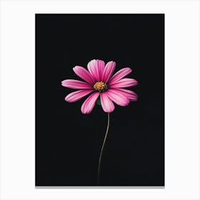 Pink Daisy 6 Canvas Print