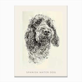 Spanish Water Dog Line Sketch 2 Poster Canvas Print