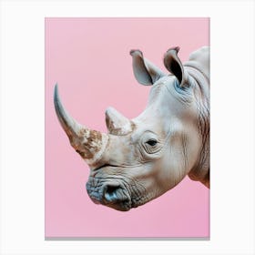 Rhino On Pink Background Canvas Print