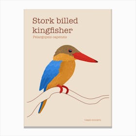 Stork Billed Kingfisher poster Canvas Print