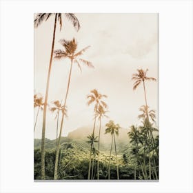 Tropical Sunrise Canvas Print