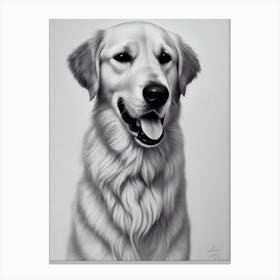 Golden Retriever 2 B&W Pencil dog Canvas Print