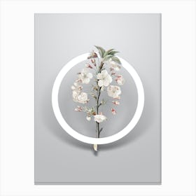 Vintage Pear Tree Flowers Minimalist Flower Geometric Circle on Soft Gray n.0532 Canvas Print