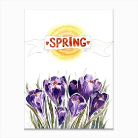 Watercolor Spring Flowers Crocuses And Sun Canvas Print