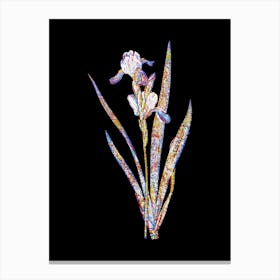 Stained Glass Tall Bearded Iris Mosaic Botanical Illustration on Black n.0080 Canvas Print