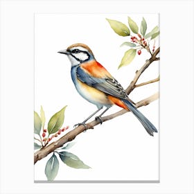 Beautiful Bird On Branch Watercolor Painting (9) Canvas Print