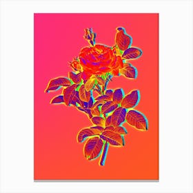 Neon Red Gallic Rose Botanical in Hot Pink and Electric Blue n.0199 Canvas Print