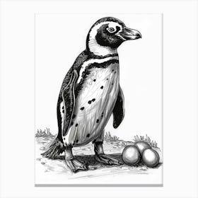 African Penguin Balancing Eggs 1 Canvas Print
