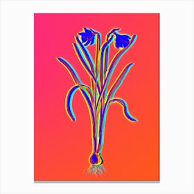 Neon Narcissus Candidissimus Botanical in Hot Pink and Electric Blue n.0548 Canvas Print