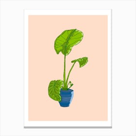 Monstera Plant In A Pot 2 Canvas Print