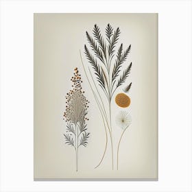 Fennel Seeds Spices And Herbs Retro Minimal 2 Canvas Print